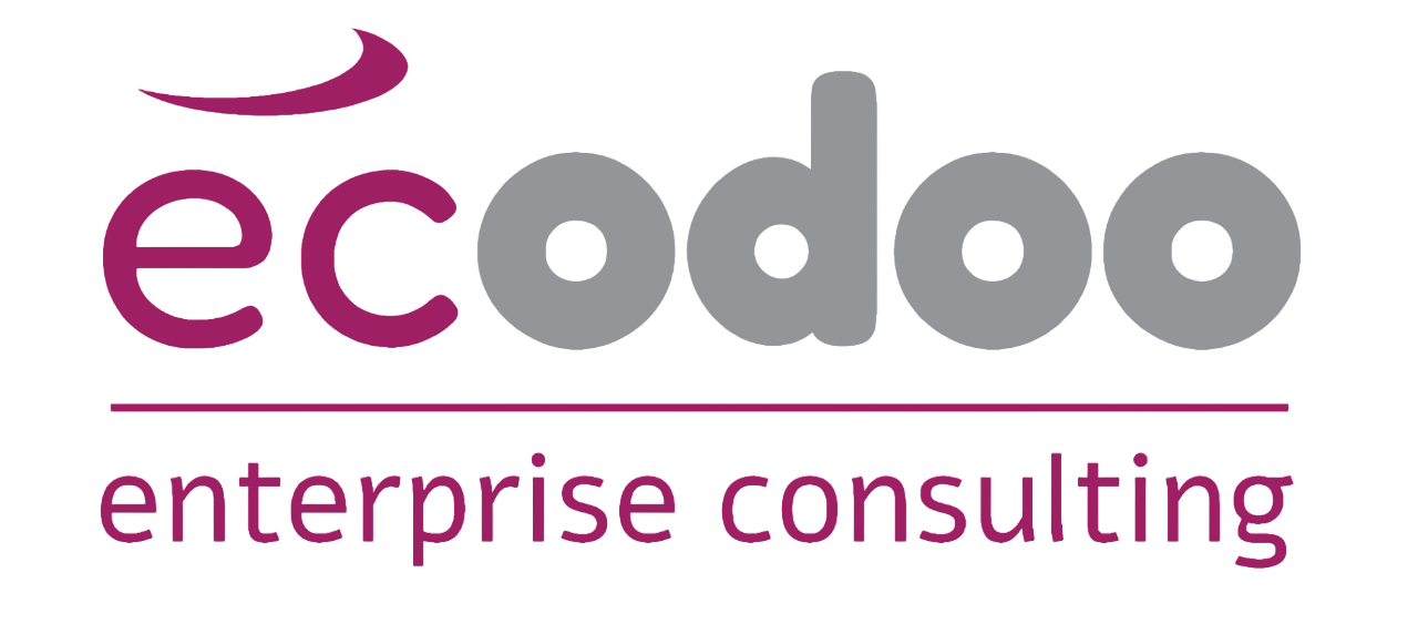 ecodoo - enterprise - consulting